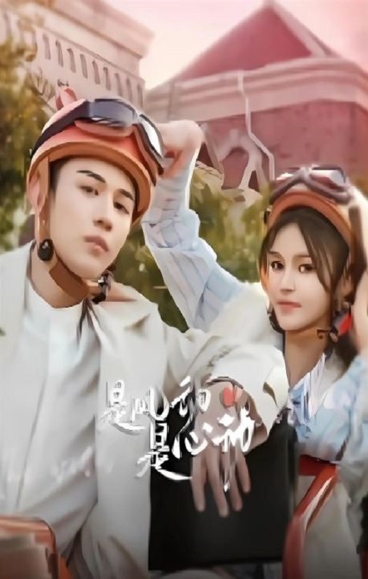 2025年国产大陆电视剧《是风动、是心动》全24集