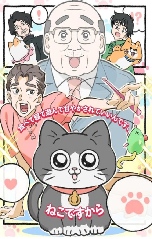 2024年日本动漫《转生成猫的大叔》全48集