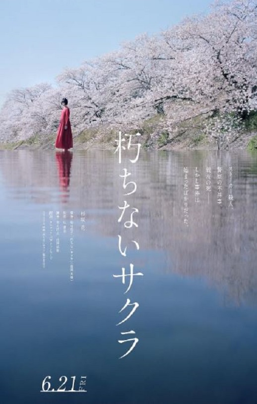 2024年日本悬疑剧情片《不朽的樱花》BD日语中字