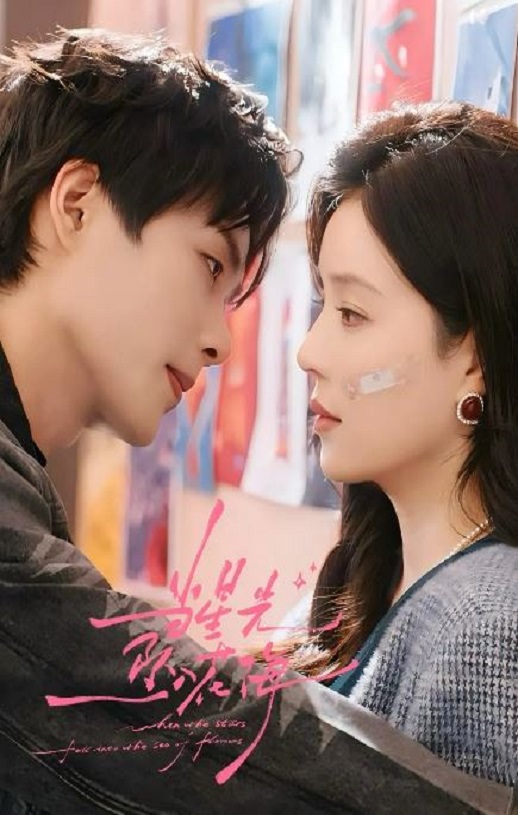 2025年国产大陆电视剧《当星光坠入花海》全24集