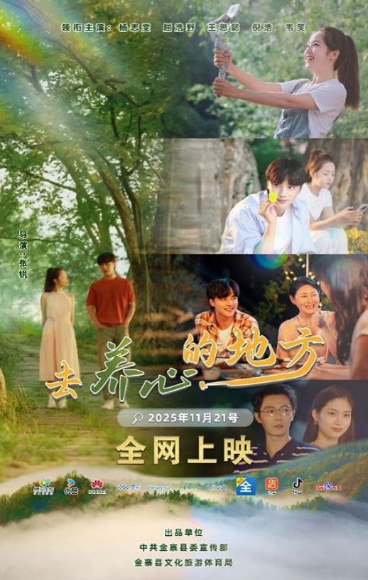 2025年国产大陆电视剧《去养心的地方》全12集
