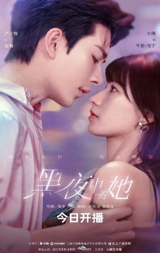 2025年国产大陆电视剧《黑夜中的她》全24集
