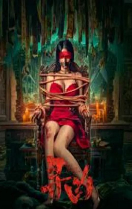 2025年国产悬疑片《寻凶》HD国语中字