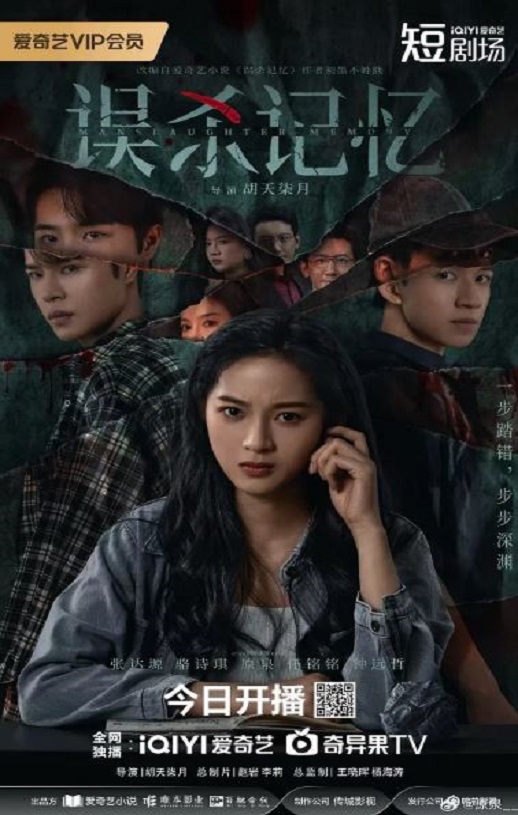 2025年国产大陆电视剧《误杀记忆》全24集