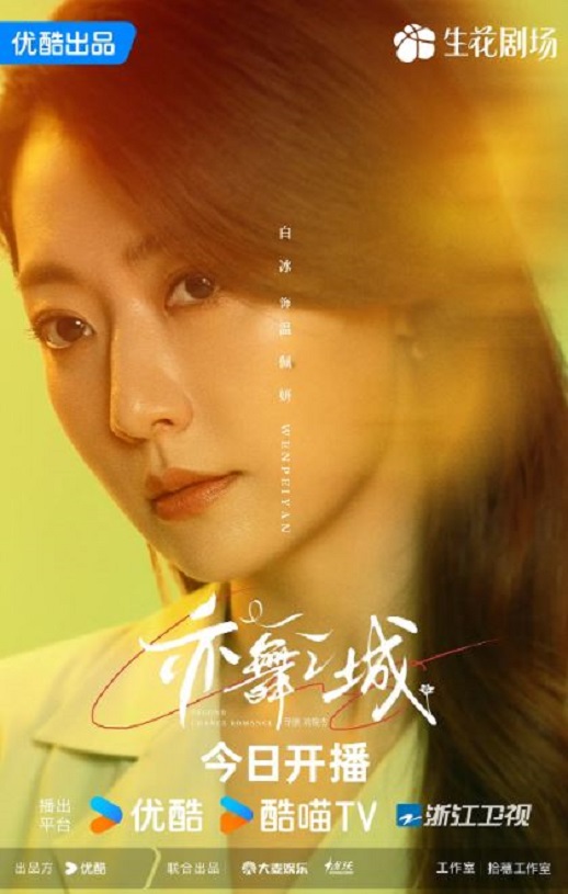 2025年国产大陆电视剧《亦舞之城》全28集