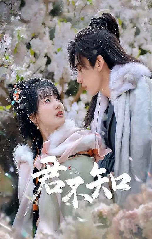 2025年国产大陆电视剧《君不知》全24集