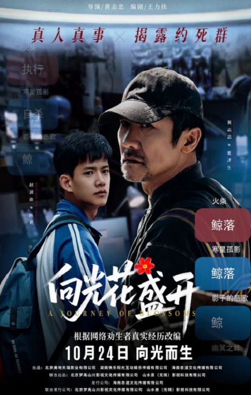 2025年国产剧情《向光花盛开》HD国语中字