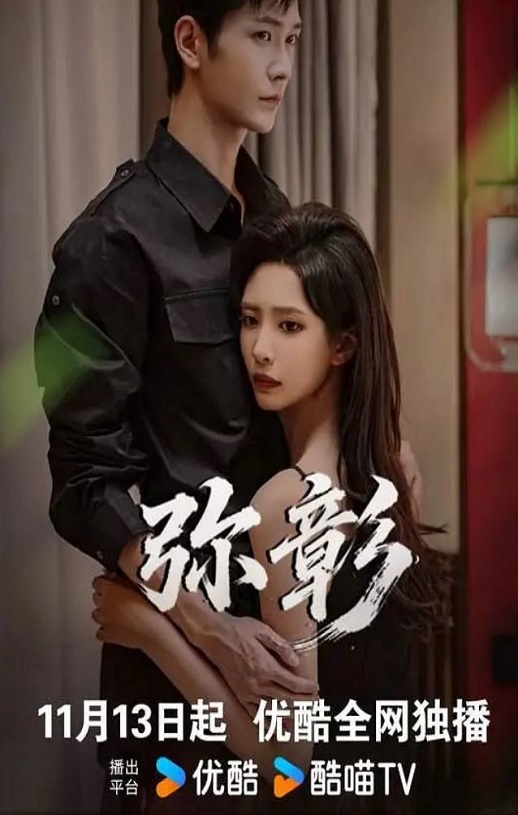 2025年国产大陆电视剧《弥彰》全20集