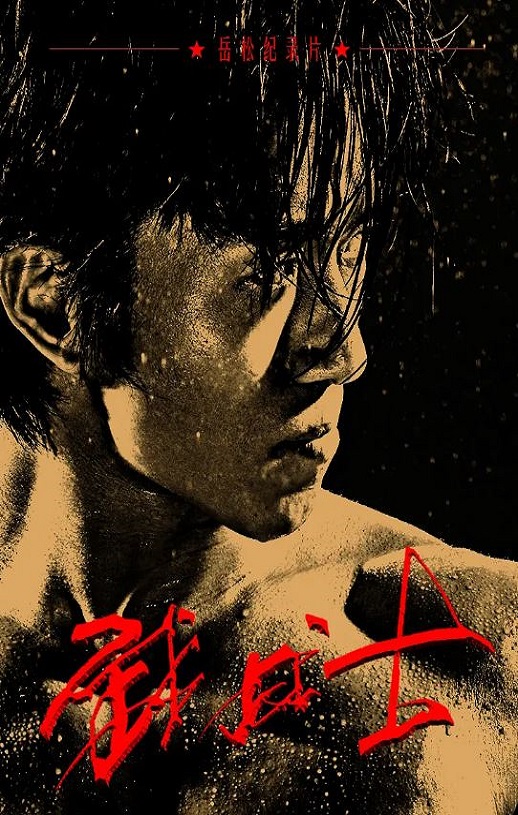 2020年国产传记片《武战士》HD国语中字