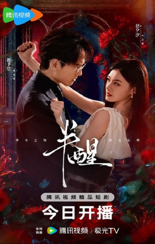 2026年国产大陆电视剧《半醒》全24集