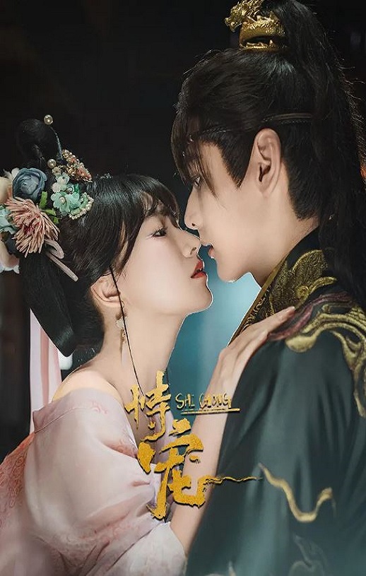 2025年国产大陆电视剧《恃宠》全24集