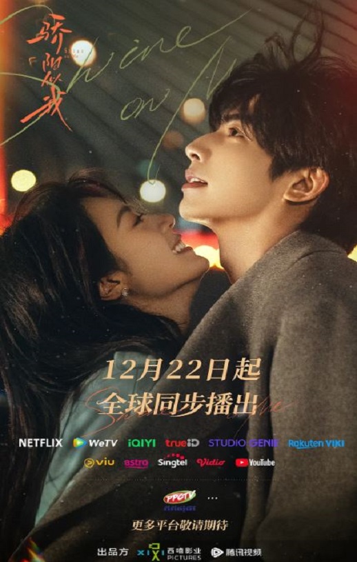 2025年国产大陆电视剧《骄阳似我》全36集