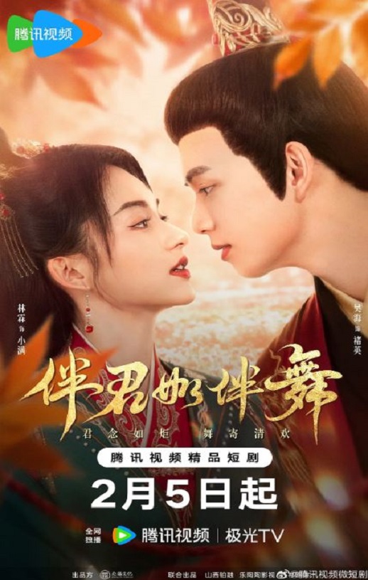 2025年国产大陆电视剧《伴君如伴舞》全24集