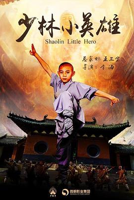 2018年国产电视剧《少林小英雄》 全第12集