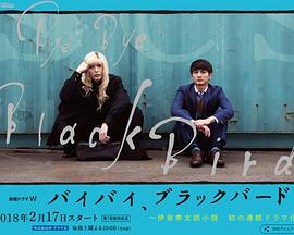 2018年日本电视剧《再见，黑鸟》 全