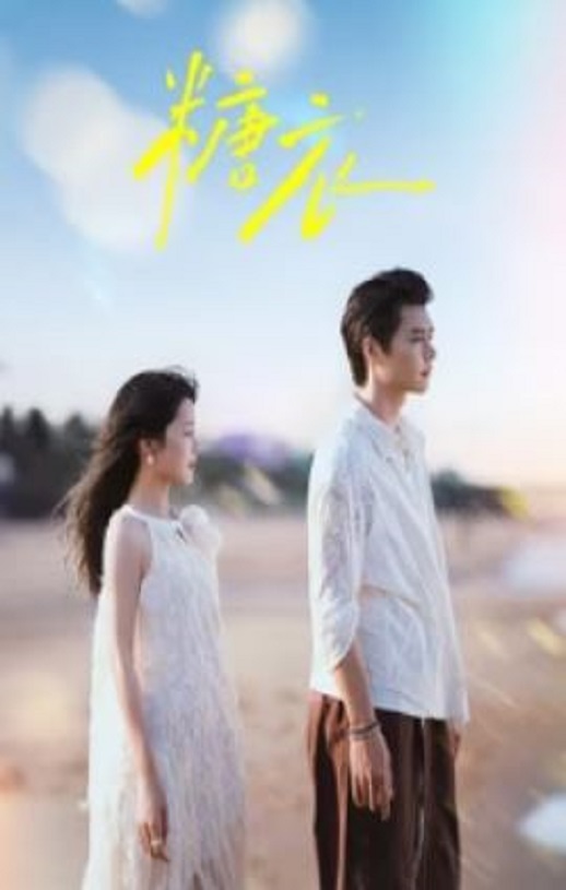 2026年国产大陆电视剧《糖衣》全24集