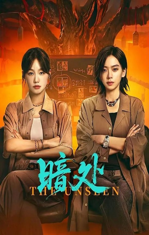 2026年国产大陆电视剧《暗处》全24集