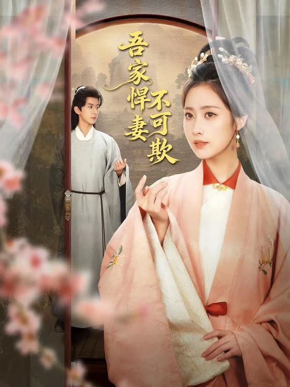 2026年国产电视剧《吾家悍妻不可欺》 全第24集