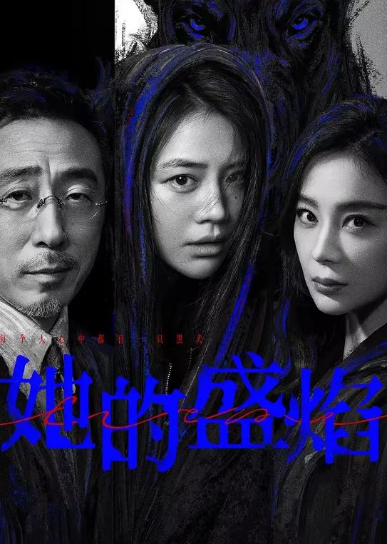 2026年国产电视剧《她的盛焰》 连载至第13集