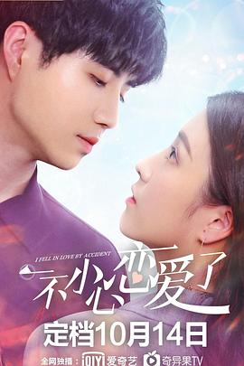 2020年大陆电视剧《一不小心恋爱了》 全第12集